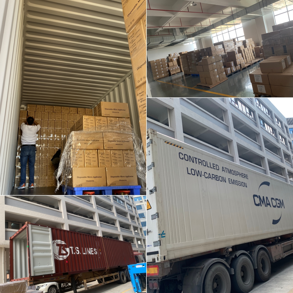 الصورة التالية