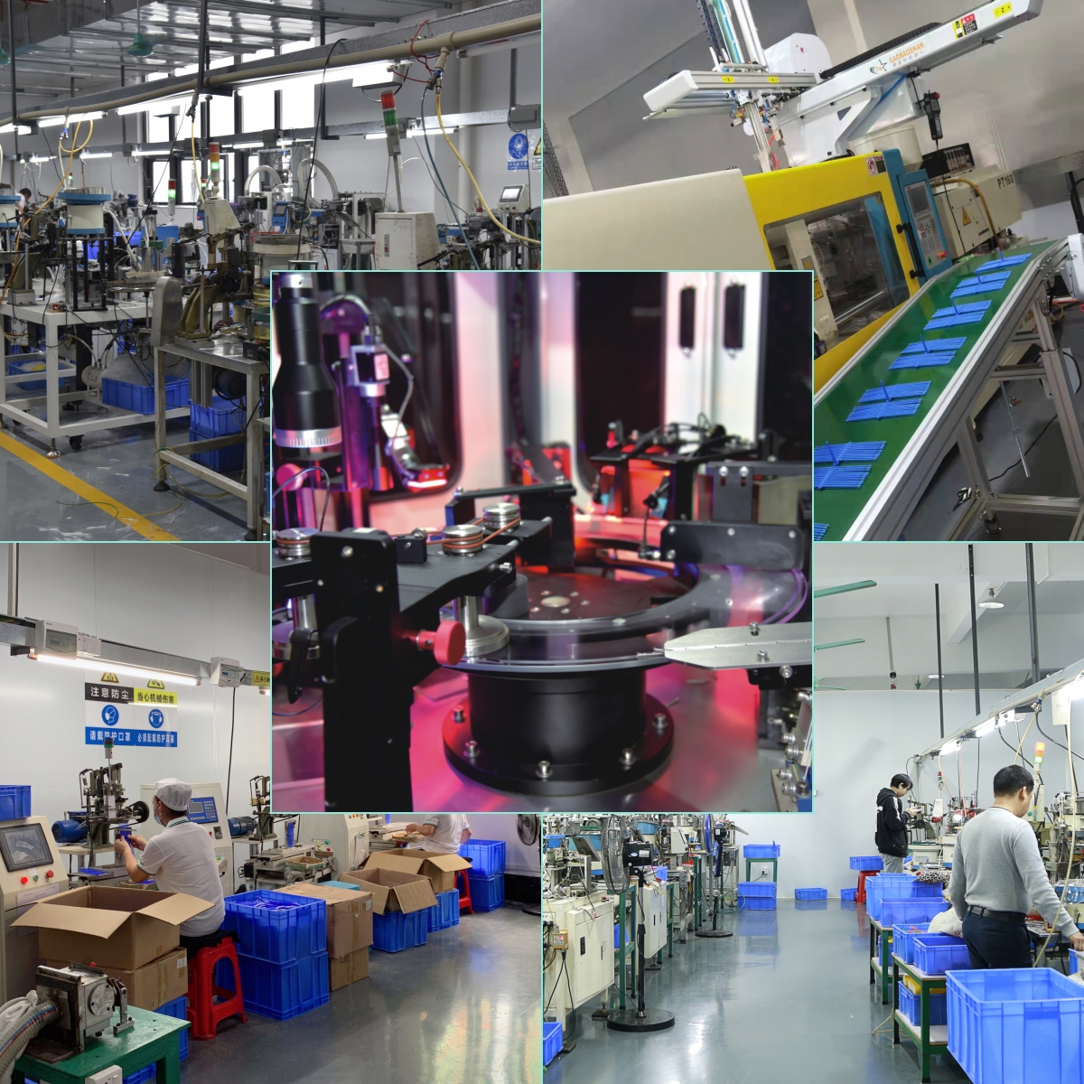 الصورة التالية